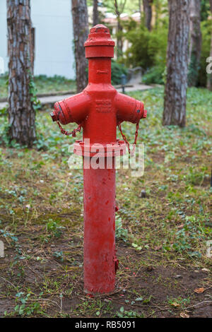 D'INCENDIE rouge, qui est utilisé pour prévenir les incendies, installé sur une pelouse entre les arbres dans une zone du parc. Close-up Banque D'Images