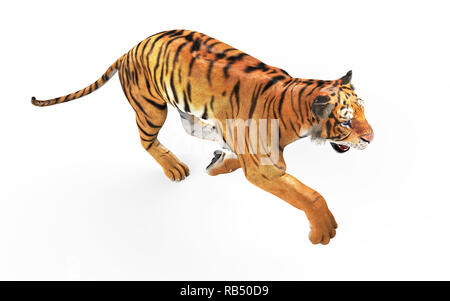 Tigre du Bengale dangereuses et rugissant sautant isolé sur fond blanc, avec chemin de détourage, 3d illustration. Banque D'Images