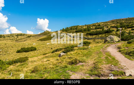 Vallée Sarntal - Vallée de Sarentino - paysage dans le Tyrol du Sud, Italie du nord, l'Europe. Paysage d'été avec ciel bleu et nuages Banque D'Images