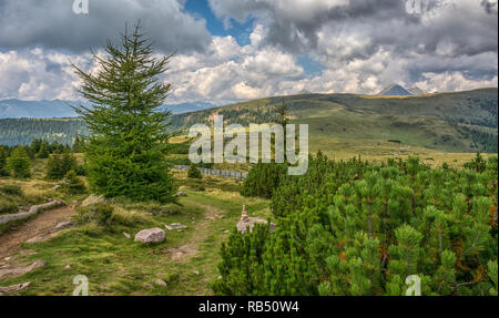 Vallée Sarntal - Vallée de Sarentino - paysage dans le Tyrol du Sud, Italie du nord, l'Europe. Paysage d'été avec ciel bleu et nuages Banque D'Images