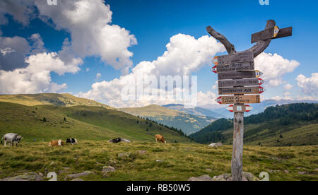 Vallée Sarntal - Vallée de Sarentino - paysage dans le Tyrol du Sud, Italie du nord, l'Europe. Paysage d'été avec ciel bleu et nuages Banque D'Images