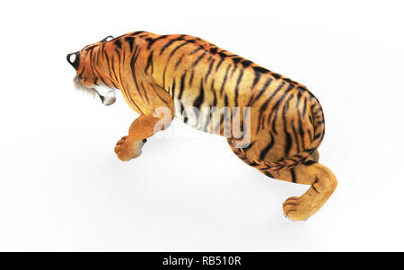 Tigre du Bengale dangereuses et rugissant sautant isolé sur fond blanc, avec chemin de détourage, 3d illustration. Banque D'Images