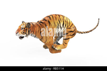 Tigre du Bengale dangereuses et rugissant sautant isolé sur fond blanc, avec chemin de détourage, 3d illustration. Banque D'Images