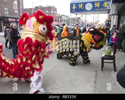 Festival Climax of Lion Dance. Lion « mange » de la nourriture, des légumes et les crache, ce qui porte bonne chance aux propriétaires de magasin pour le nouvel an chinois à New York, 2017. Banque D'Images