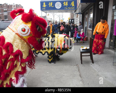 Festival Climax of Lion Dance. Lion « mange » de la nourriture, des légumes et les crache, ce qui porte bonne chance aux propriétaires de magasin pour le nouvel an chinois à New York, 2017. Banque D'Images