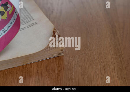 Chien vieux hibou livre de poche. Vintage pages jaunies avec dogeared coins. Banque D'Images