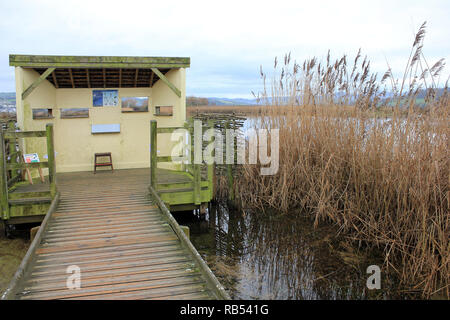 La demande conduisant à l'affichage écran Masquer de Conwy RSPB Réserve, au nord du Pays de Galles Banque D'Images