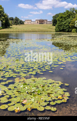 Nénuphars sur le lac à Stowe House Gardens, Buckinghamshire UK Banque D'Images