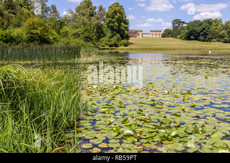 Nénuphars sur le lac à Stowe House Gardens, Buckinghamshire UK Banque D'Images