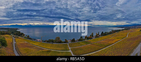 Vue panoramique sur le vignoble de Dully sur la rive du lac de Genève sous un ciel d'automne spectaculaire d'une photographie aérienne prise par un drone Banque D'Images