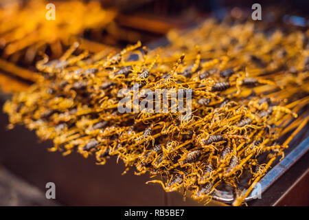 Scorpions frits dans le marché de nuit de Wangfujing de Pékin, Chine Banque D'Images