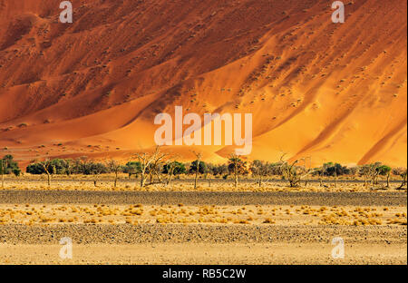 Désert incroyable paysage autour de Sossuvlei en Namibie, Afrique du marais salant de Sossusvlei. La Namibie. L'Afrique. Banque D'Images