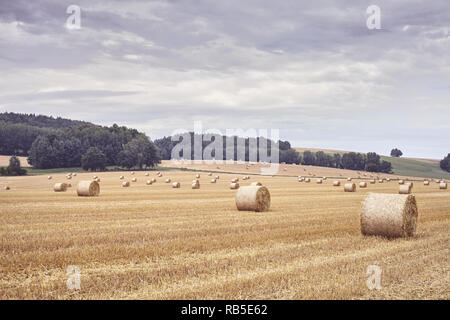 Balles rondes de paille sur un terrain à la fin de la saison des récoltes, aux tons de couleur photo. Banque D'Images