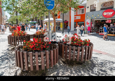 Curitiba - PR, Brésil - 14 décembre 2018 : fleurs décoratives de la rue XV de Novembro. Rua das Flores. Lieu touristique. Banque D'Images