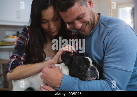 Couple de jouer avec leur chien de compagnie dans la cuisine Banque D'Images