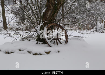 Roue en bois s'en tient à l'arbre Banque D'Images