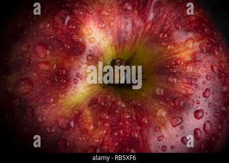 Close up of a red apple with water drops Banque D'Images