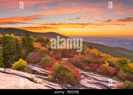 Grandfather Mountain, North Carolina, USA L'automne l'aube de Ridge dans les montagnes Blue Ridge. Banque D'Images