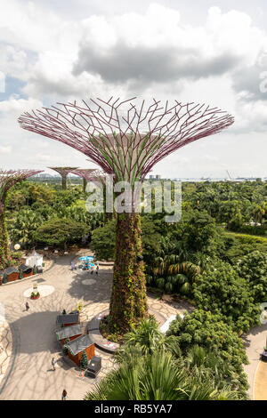 Singapour - décembre 2018 : Vue aérienne du jardin botanique, jardins de la baie de Singapour. Banque D'Images
