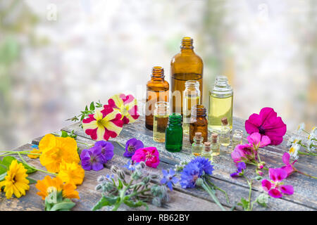 L'huile essentielle et parfum de plantes médicinales entouré de pétales Banque D'Images