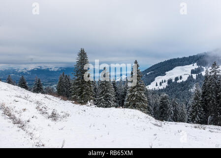 L'hiver dans la région du Gantrisch, Berner Oberland Banque D'Images
