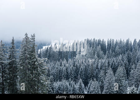 L'hiver dans la région du Gantrisch, Berner Oberland Banque D'Images
