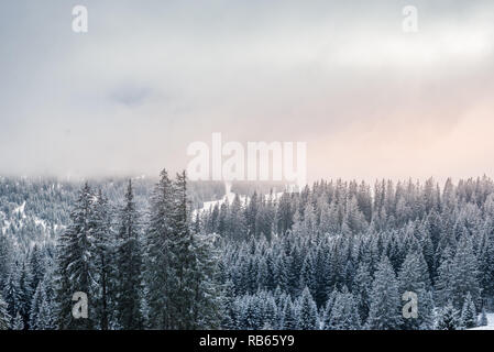 L'hiver dans la région du Gantrisch, Berner Oberland Banque D'Images