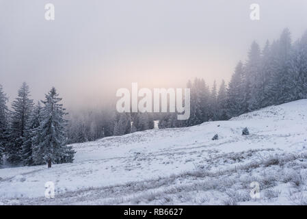 L'hiver dans la région du Gantrisch, Berner Oberland Banque D'Images