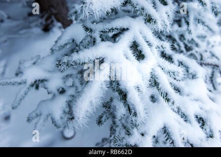 L'hiver dans la région du Gantrisch, Berner Oberland Banque D'Images