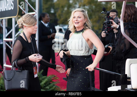 Los Angeles, USA. 06 Jan, 2019. Amy Poehler assiste à la 76e Golden Globe Awards au Beverly Hilton de Los Angeles, CA le dimanche, Janvier 6, 2019. Credit : PictureLux Le Hollywood/Archive/Alamy Live News Banque D'Images