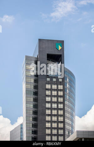 Le faucon pèlerin (Falco peregrinus) Reproduction en nichoir sur ABN-AMRO building dans le quartier des affaires Zuidas, Amsterdam, Pays-Bas. Banque D'Images