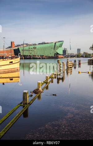 Les Pays-Bas, Amsterdam, famille de foulque macroule ou conjoint de Foulque macroule (Fulica atra) près de l'Scheepvaartmuseum et NEMO museum. Banque D'Images