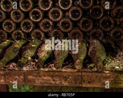 Très vieux bouteilles de vin stocké dans une ancienne cave à vin Banque D'Images