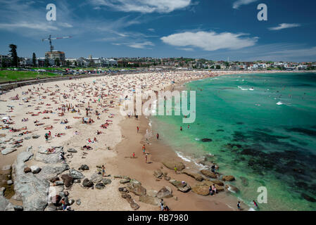 Les gens à prendre le soleil sur un après-midi d'été à Bondi Beach Banque D'Images