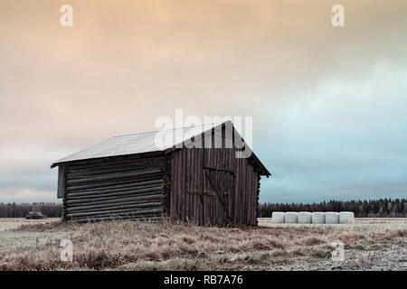 Une vieille grange maison se trouve sur le frosty champs du nord de la Finlande. Les balles blanches sont maintenant la société grange givré. Banque D'Images