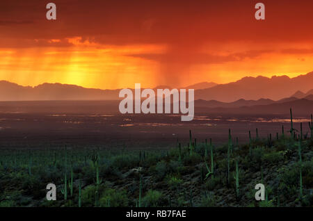 Arizona Sunset sur Avra Valley pendant la mousson d'été Banque D'Images