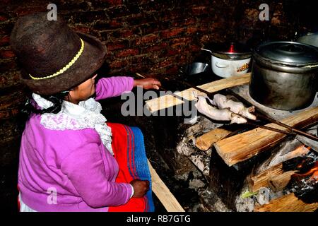 Cuy grillé - communauté paysanne restaurant - Llanganuco lagune - Parc National Huascaran. Département d'Ancash au Pérou. Banque D'Images