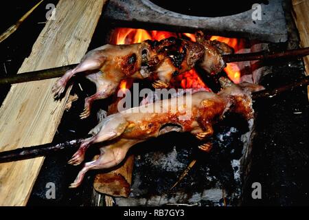 Cuy grillé - communauté paysanne restaurant - Llanganuco lagune - Parc National Huascaran. Département d'Ancash au Pérou. Banque D'Images
