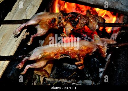 Cuy grillé - communauté paysanne restaurant - Llanganuco lagune - Parc National Huascaran. Département d'Ancash au Pérou. Banque D'Images