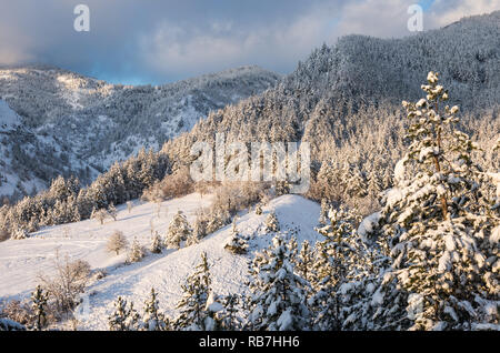 Zlatibor montagnes autour de Mokra Gora, village de Serbie. Banque D'Images