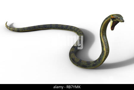 Illustration 3d'Anaconda, Boa Constrictor, le plus grand serpent venimeux isolé sur fond blanc, 3D Rendering Banque D'Images
