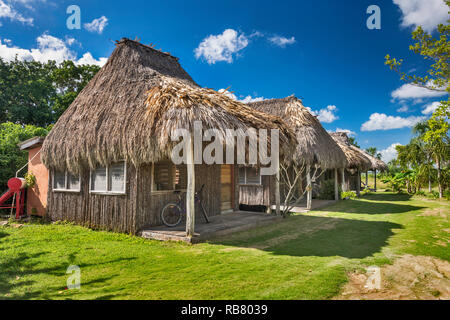 Cabanas, des huttes aux toits de chaume, à Cerros Beach Resort sur la baie de Corozal, côte de la mer des Caraïbes, Cerros Péninsule, district de Corozal, Belize Banque D'Images