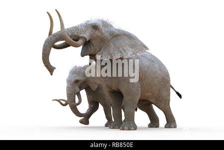 Illustration 3d'isoler l'éléphant sur fond blanc avec chemin de détourage. Éléphant albinos. Banque D'Images