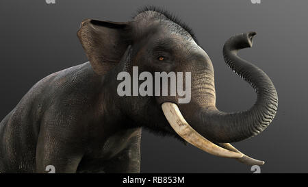 Illustration 3d'isoler l'éléphant sur fond noir, l'éléphant dans le noir avec chemin de détourage. Banque D'Images