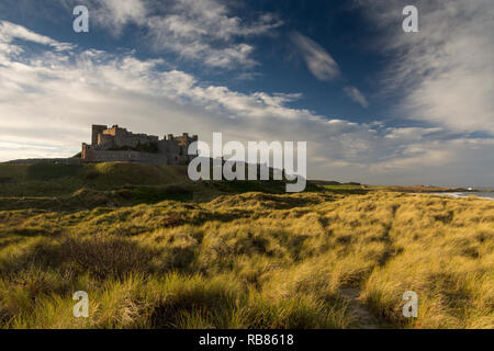 Vue sur château de Bamburgh Northumberland, Angleterre, Royaume-Uni, Europe, de la plage. Banque D'Images