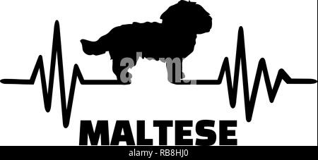 Impulsion de signal de ligne avec silhouette chien Maltais Banque D'Images
