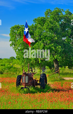 Texas drapeau sur un tracteur John Deer 1935 dans un champ de pinceau, Burnet County, Texas, USA Banque D'Images