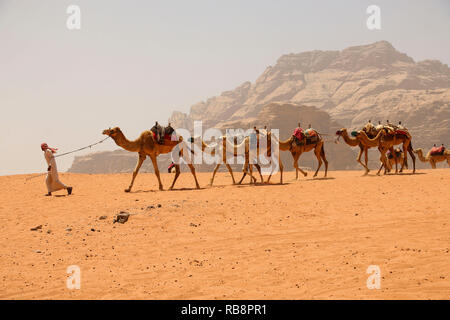Caravane de chameaux dans le désert de Wadi Rum en Jordanie. Chauffeur-berber avec des chameaux sur l'arrière-plan montagnes rouges la vallée de la Lune Banque D'Images