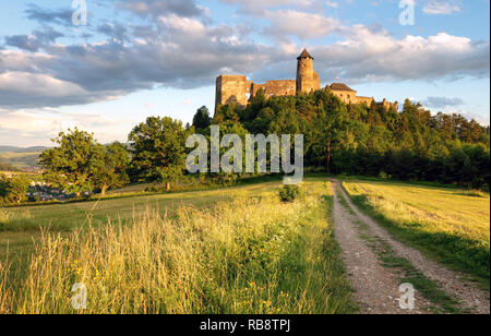 Stara Lubovna château en Slovaquie, l'Europe vue Banque D'Images