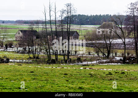 Un peu de neige sur les champs et les pâturages verts. Forêt et abandonné ferme laitière dans l'arrière-plan. Le début de l'hiver, en Europe. Banque D'Images